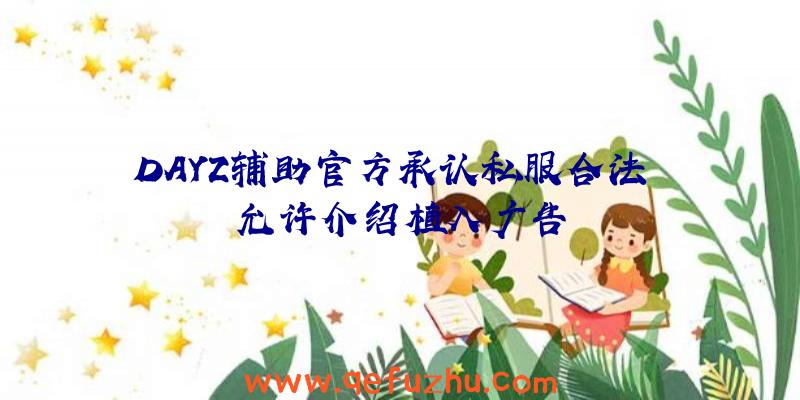 DAYZ辅助官方承认私服合法